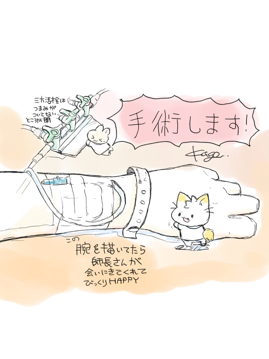 看護師のかげさん🐱🍌 tweet media