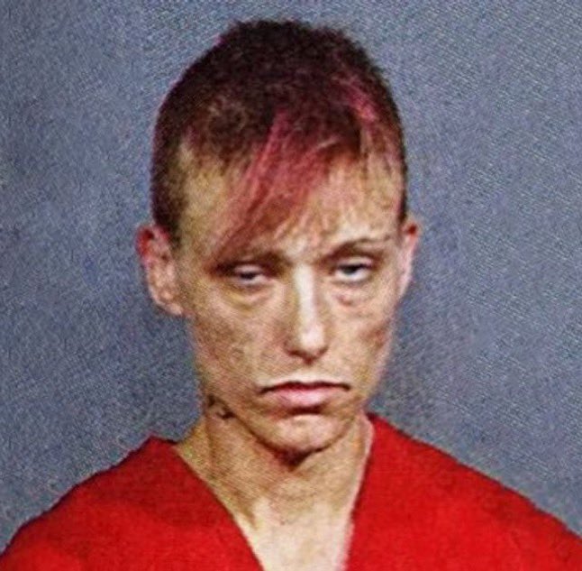 世界のど迫力映像@フォレスト(Forest)🕊️ tweet media