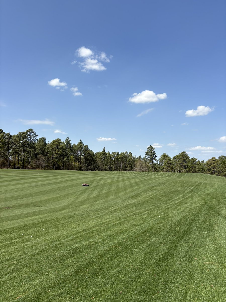 dr.derks tweet media