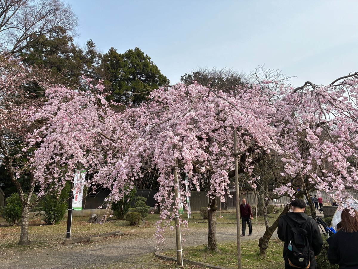 ユビレジ【公式】 tweet media