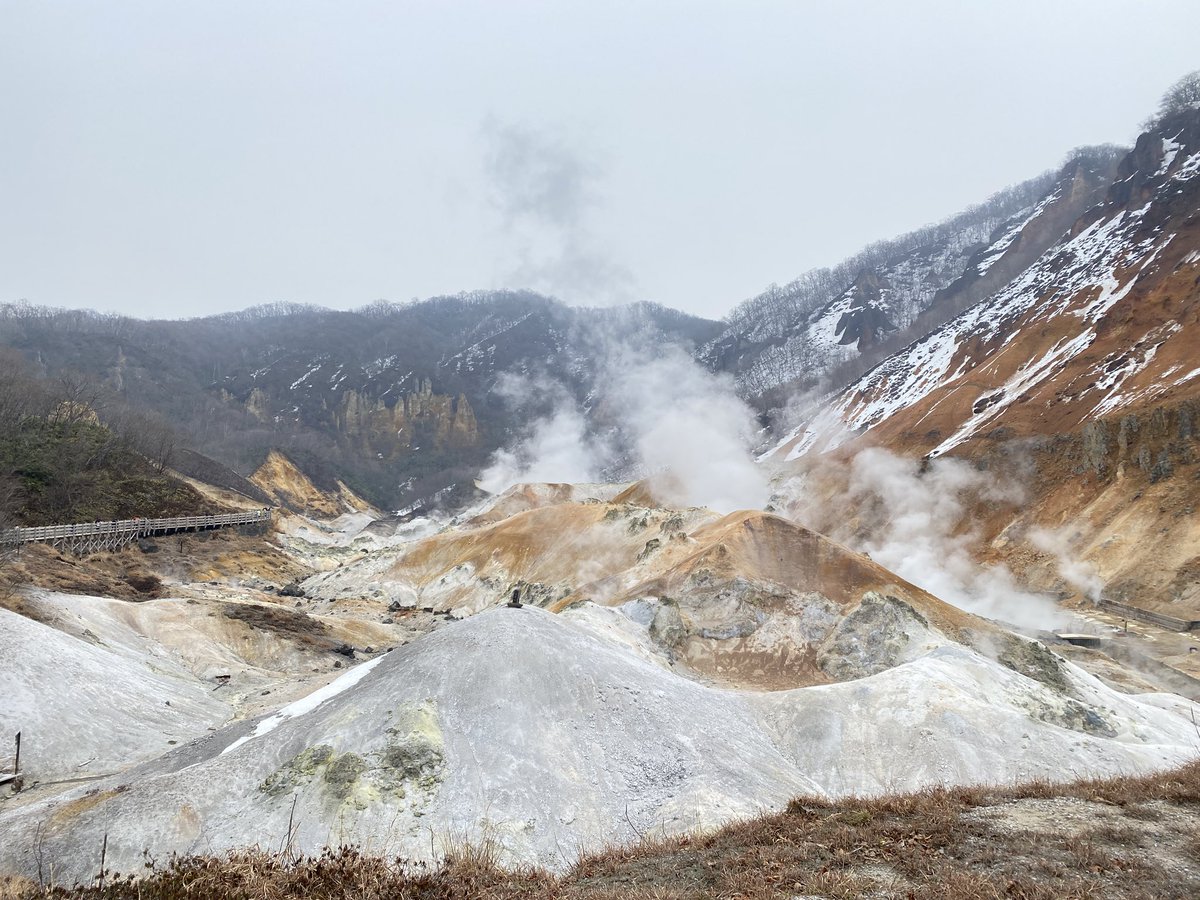 Hiroki Matsumoto / ONWA tweet media