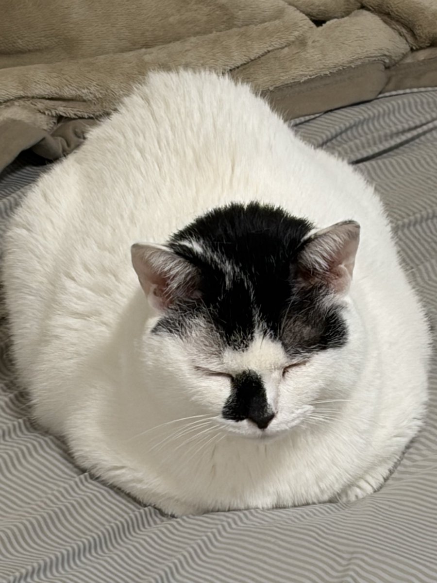 門外@おじスタンスのライダー tweet media