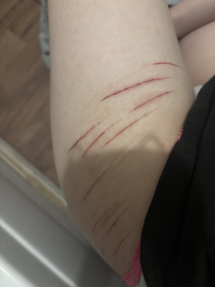 aoi 𝄞 ˎˊ˗ tweet media