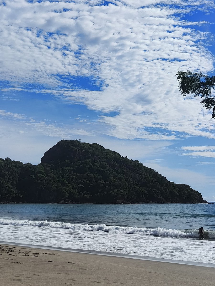 Cañón Digital tweet media