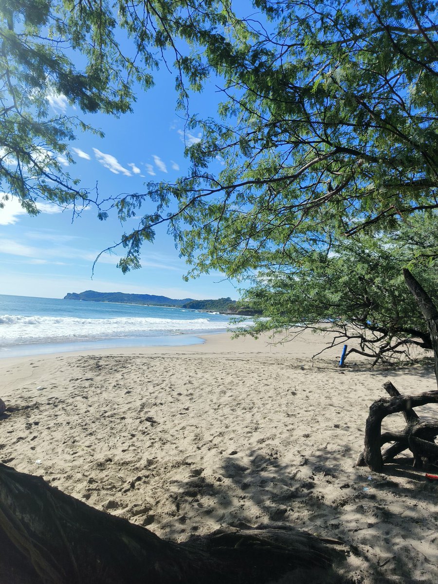 Cañón Digital tweet media