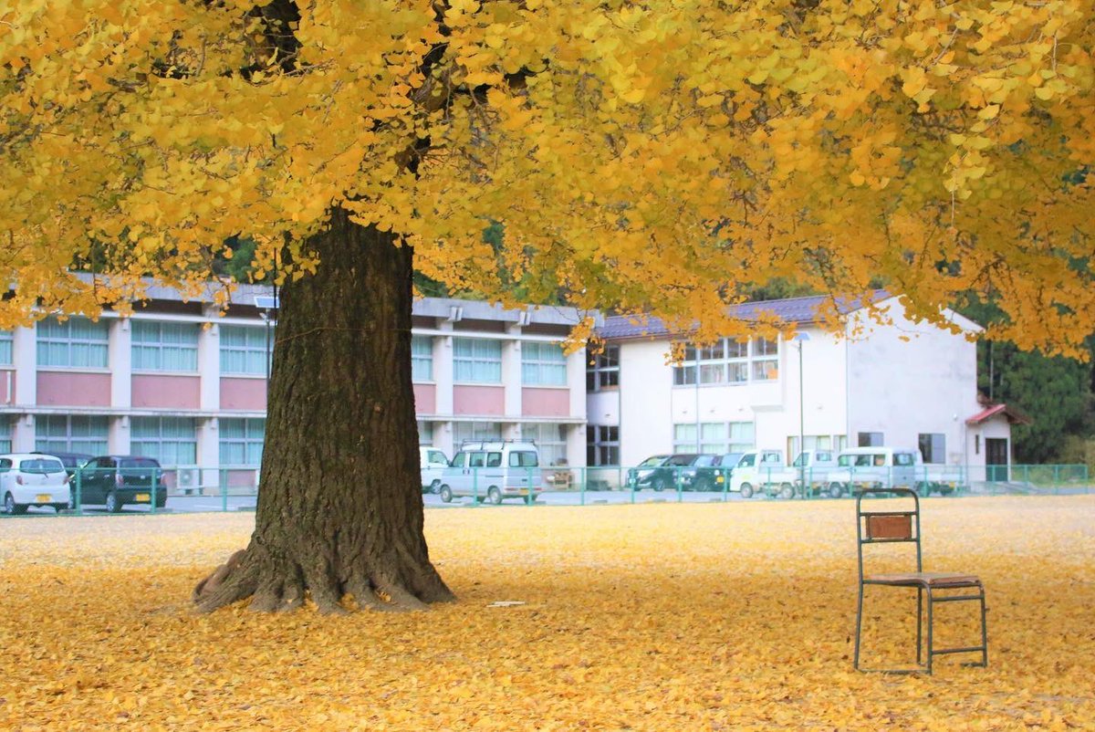 トマシバ tweet media