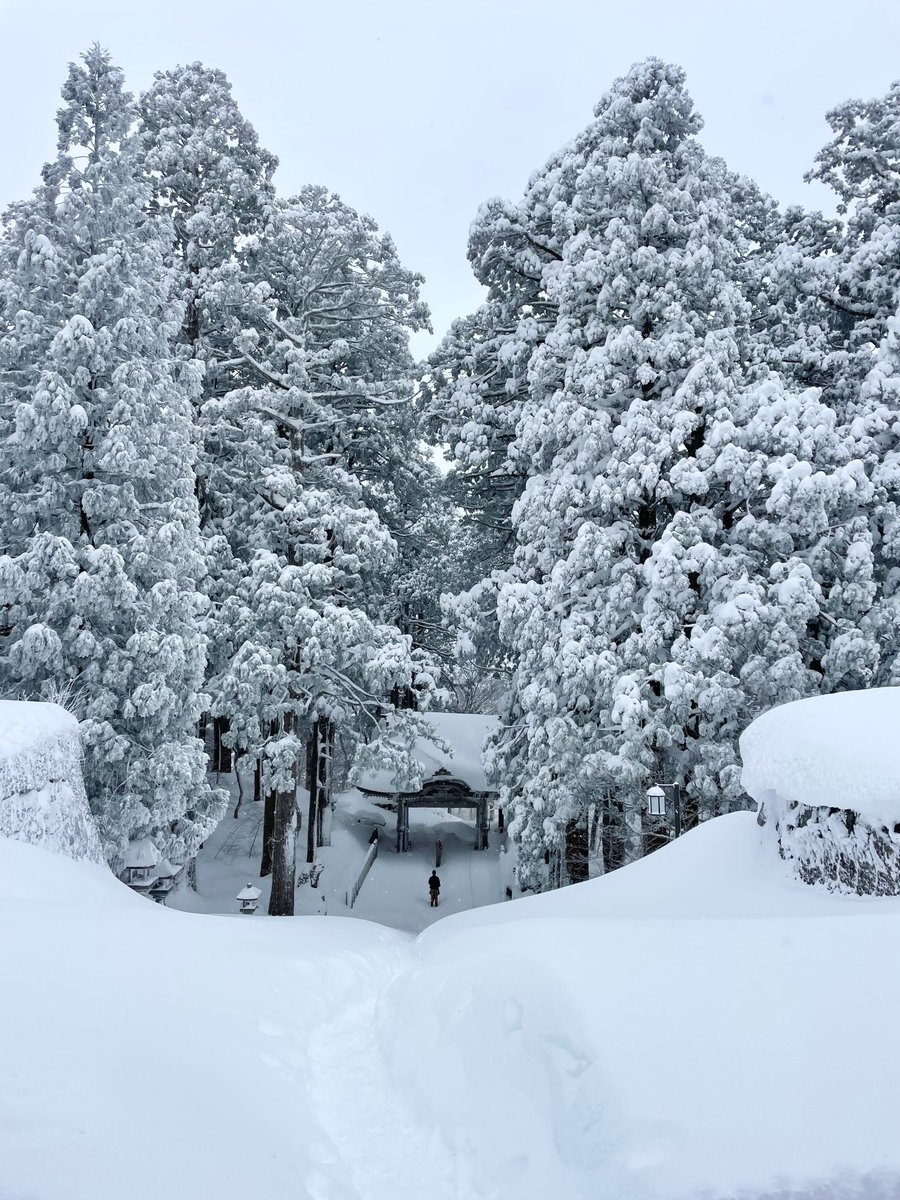 トマシバ tweet media