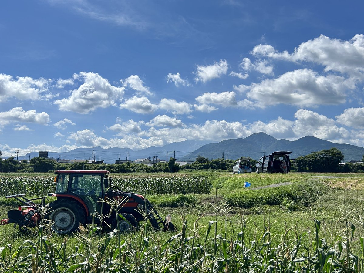 トマシバ tweet media