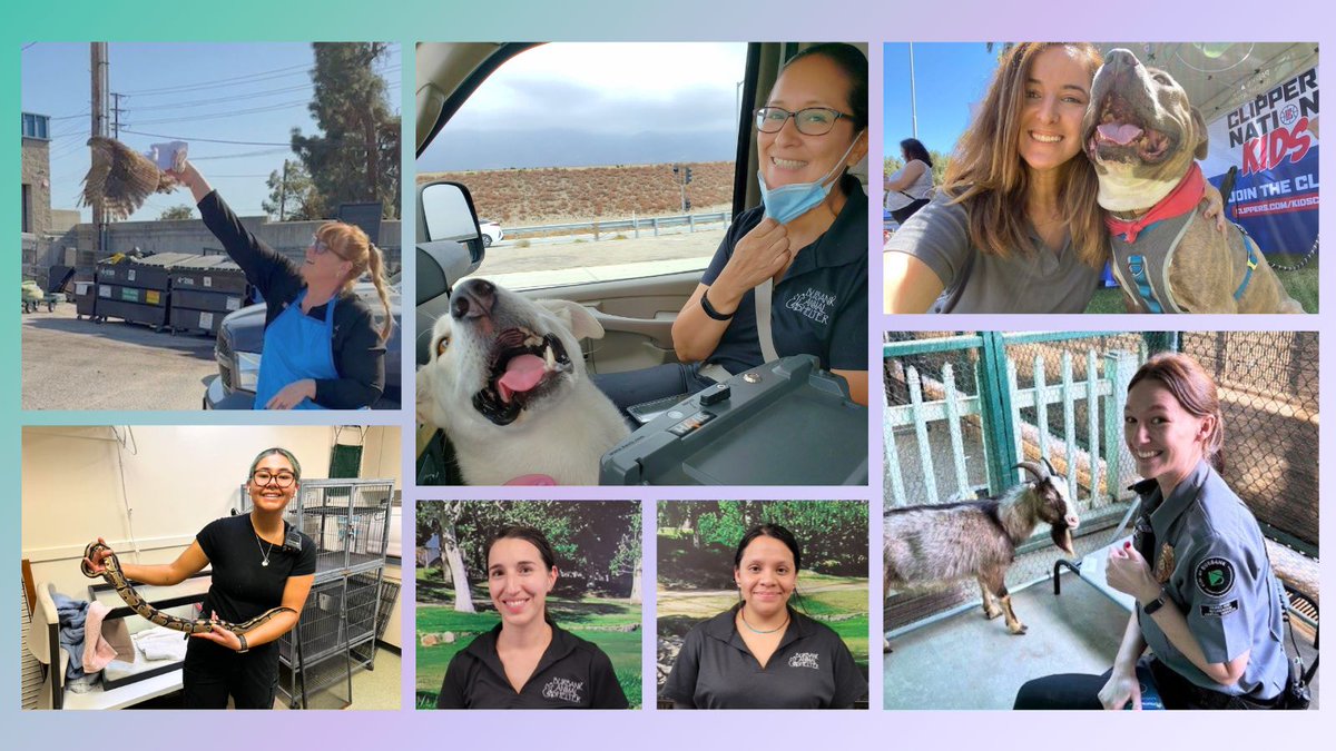 BurbankCA's tweet image. As we round out #WomensHistoryMonth, we want to recognize some of the dedicated women of the Parks and Recreation Department! From maintaining parks and leading community programs, to caring for animals in need, these teams support community wellness and connection for Burbank