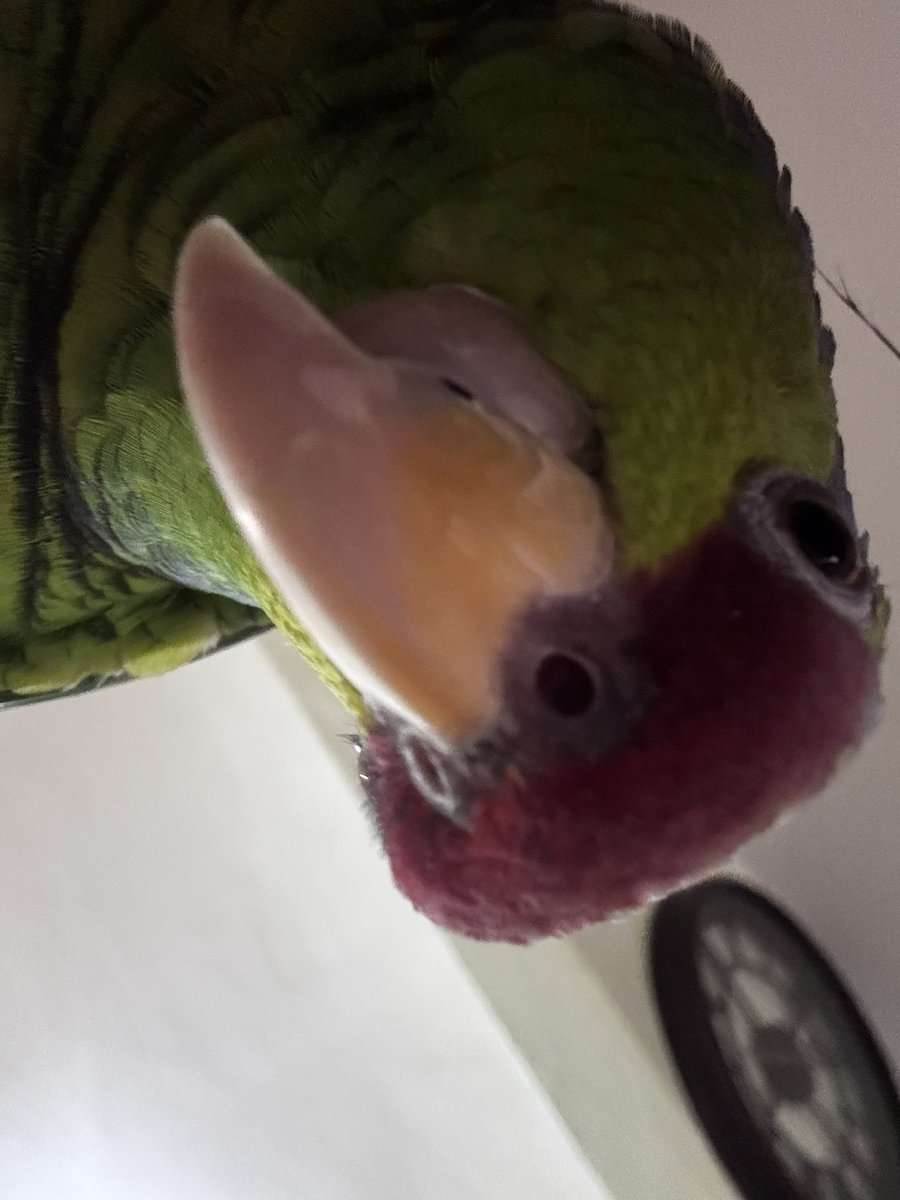 dany ۶ৎ tweet media