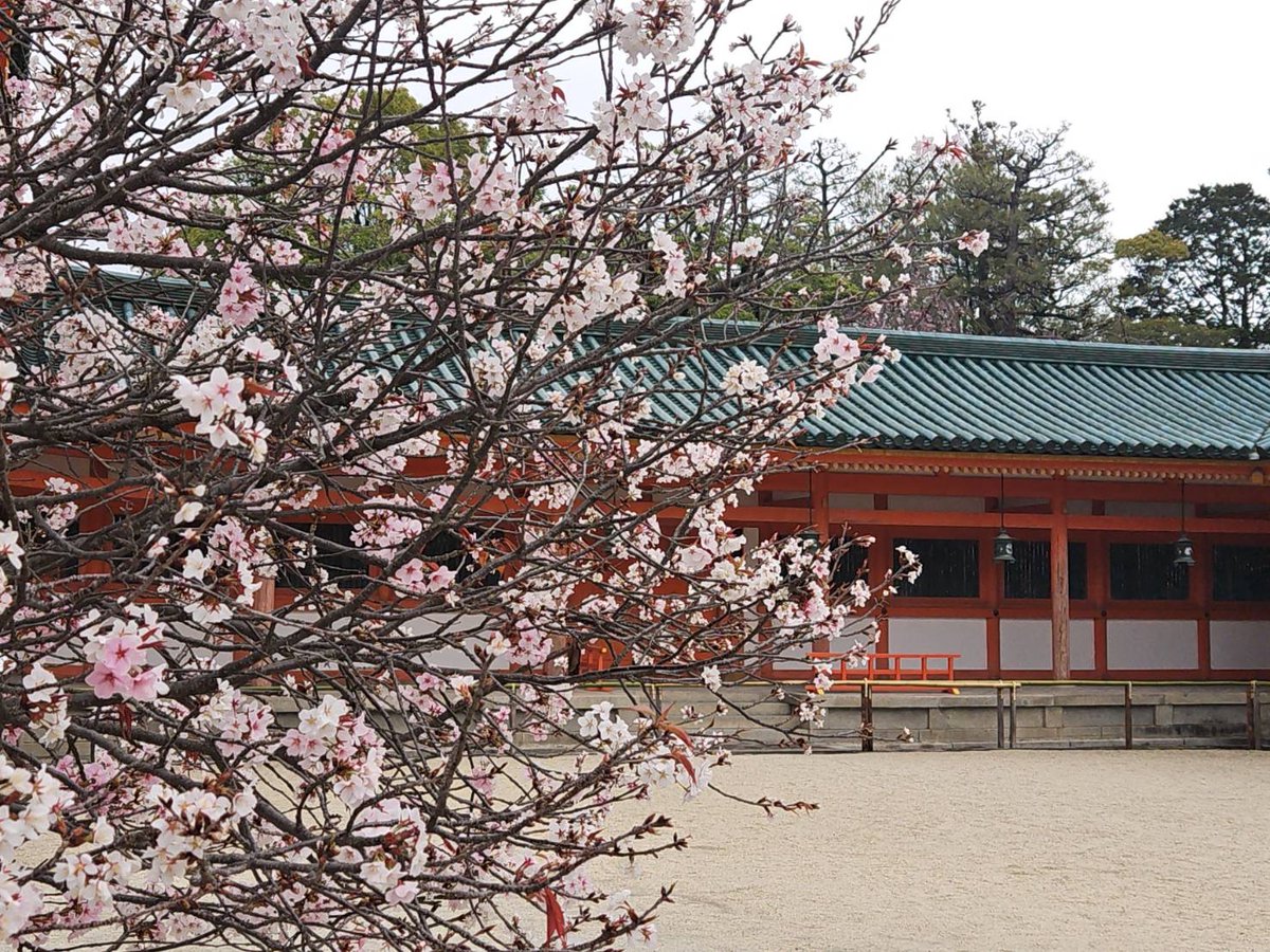 そうだ 京都、行こう。事務局【JR東海公式】 tweet media