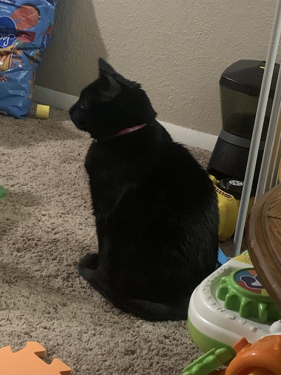 Jacob Kektrell tweet media