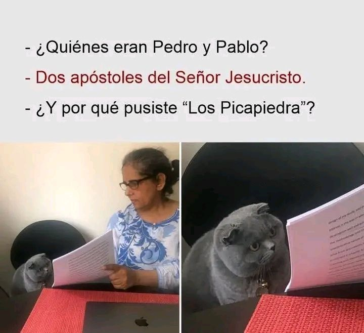 Señorita Morelos tweet media