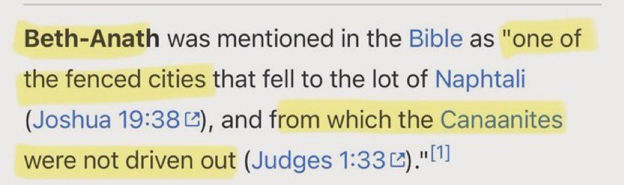 Ethan Levins 🇺🇸 tweet media