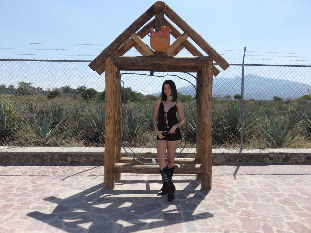 Stephaniee tweet media