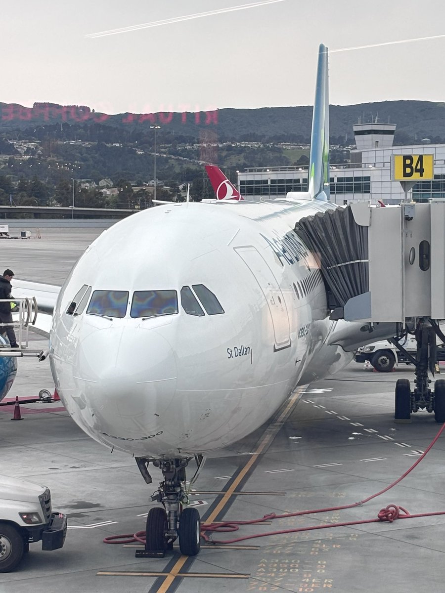 The High Kings tweet media