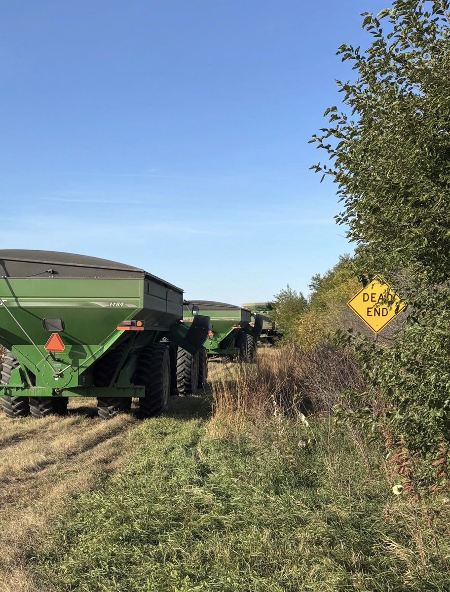 Laura Wilson tweet media