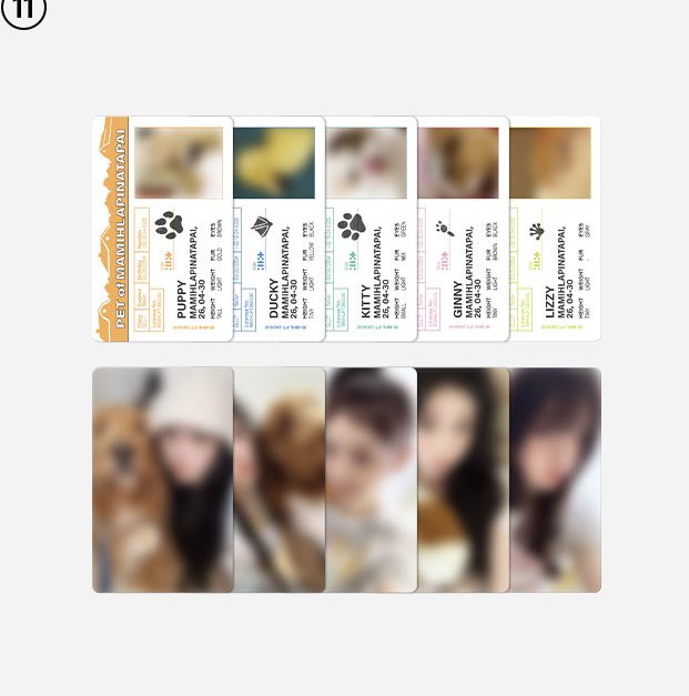 it's mia 🦢MAMIHLAPINATAPAI tweet media