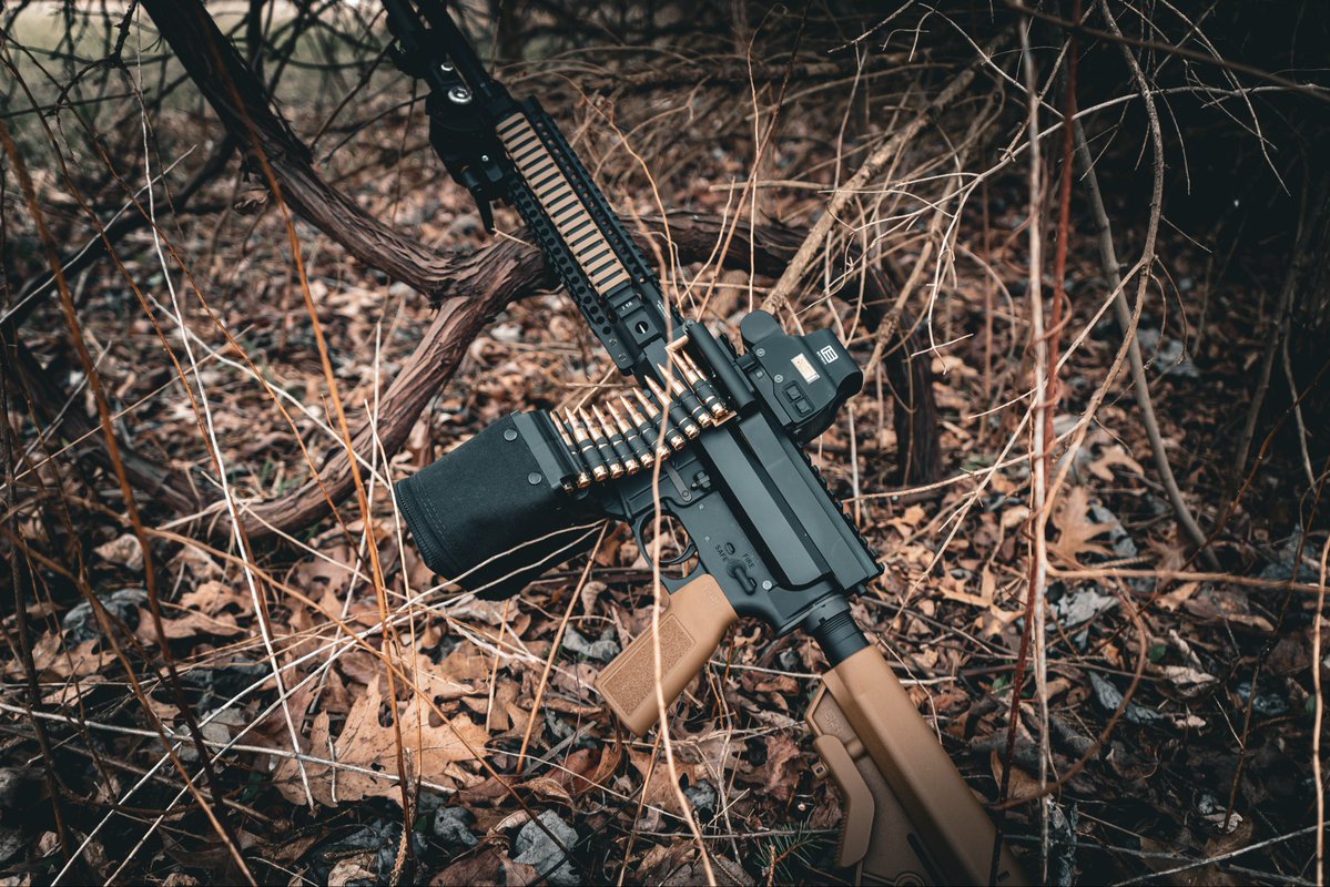 LIMA SIX BELT FEDS tweet media