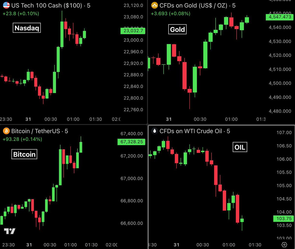 Bull Theory tweet media