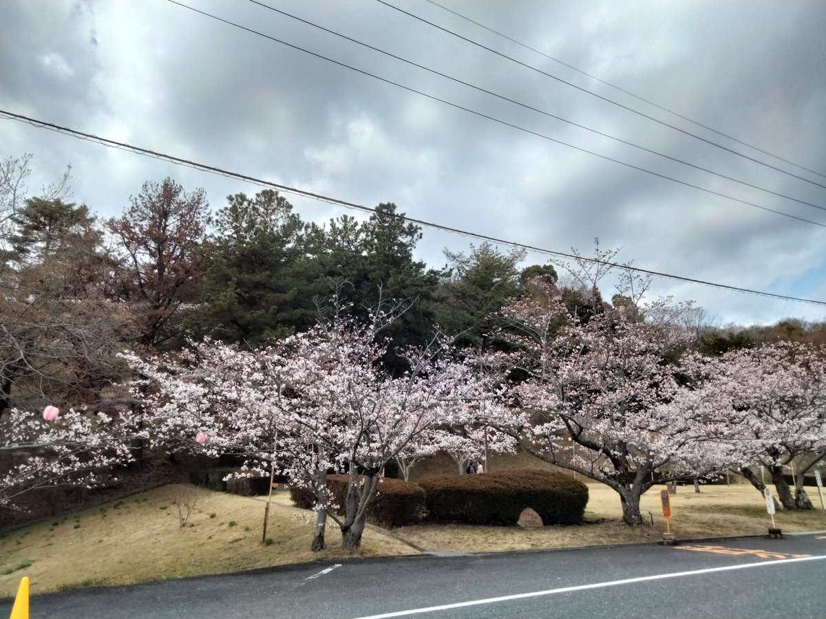 零ブラック🔞コミッション募集中 tweet media