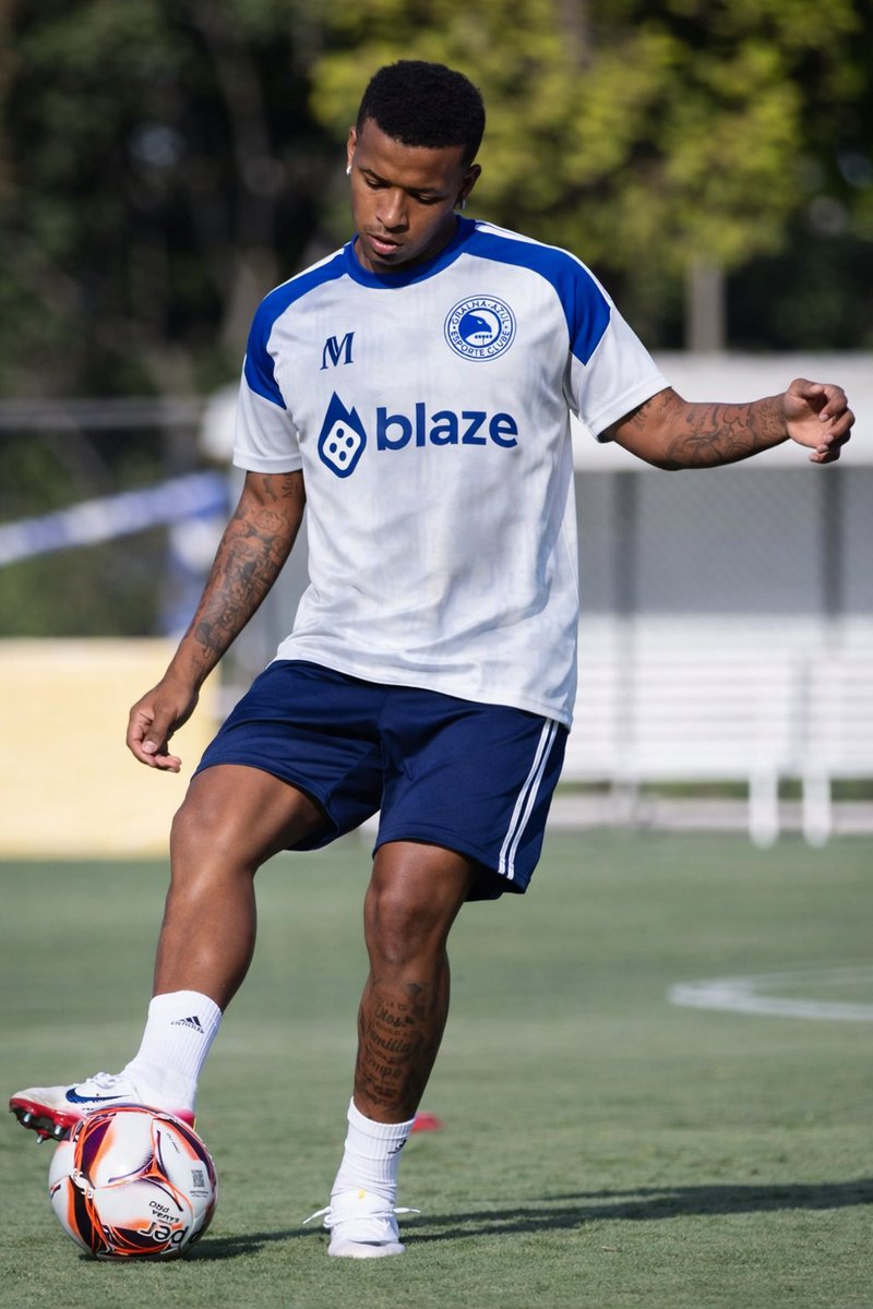 Gralha-Azul ⭐⭐⭐⭐⭐ tweet media