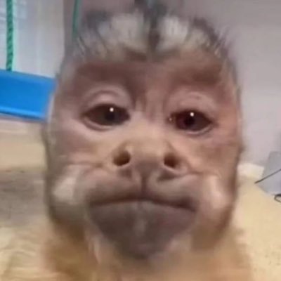 freudalismo's tweet photo. #NovaFotoDePerfil https://t.co/jYuqBB9HuJ