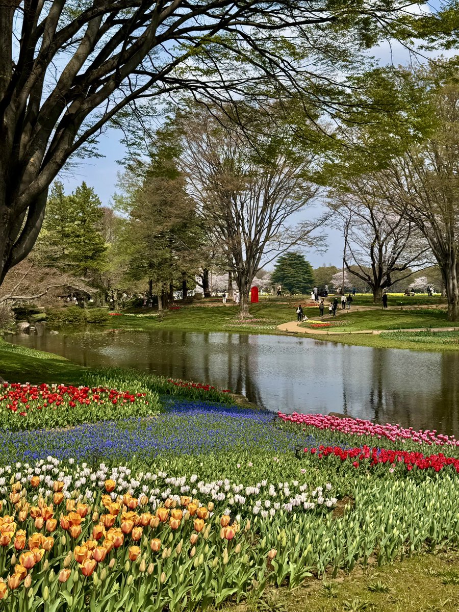 ひなっち🐣 tweet media