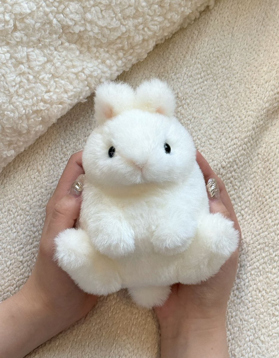 rui0104457516's tweet photo. 海外の方にも私が作ったうさぎのぬいぐるみたちを見てもらいたいです！🐰 https://t.co/JmlEME0iQp