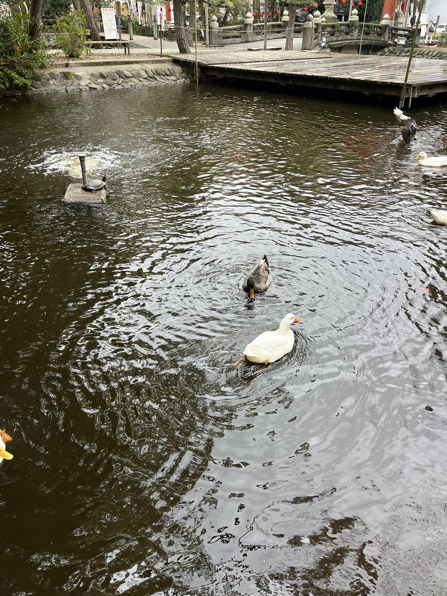 Moroo Jun tweet media