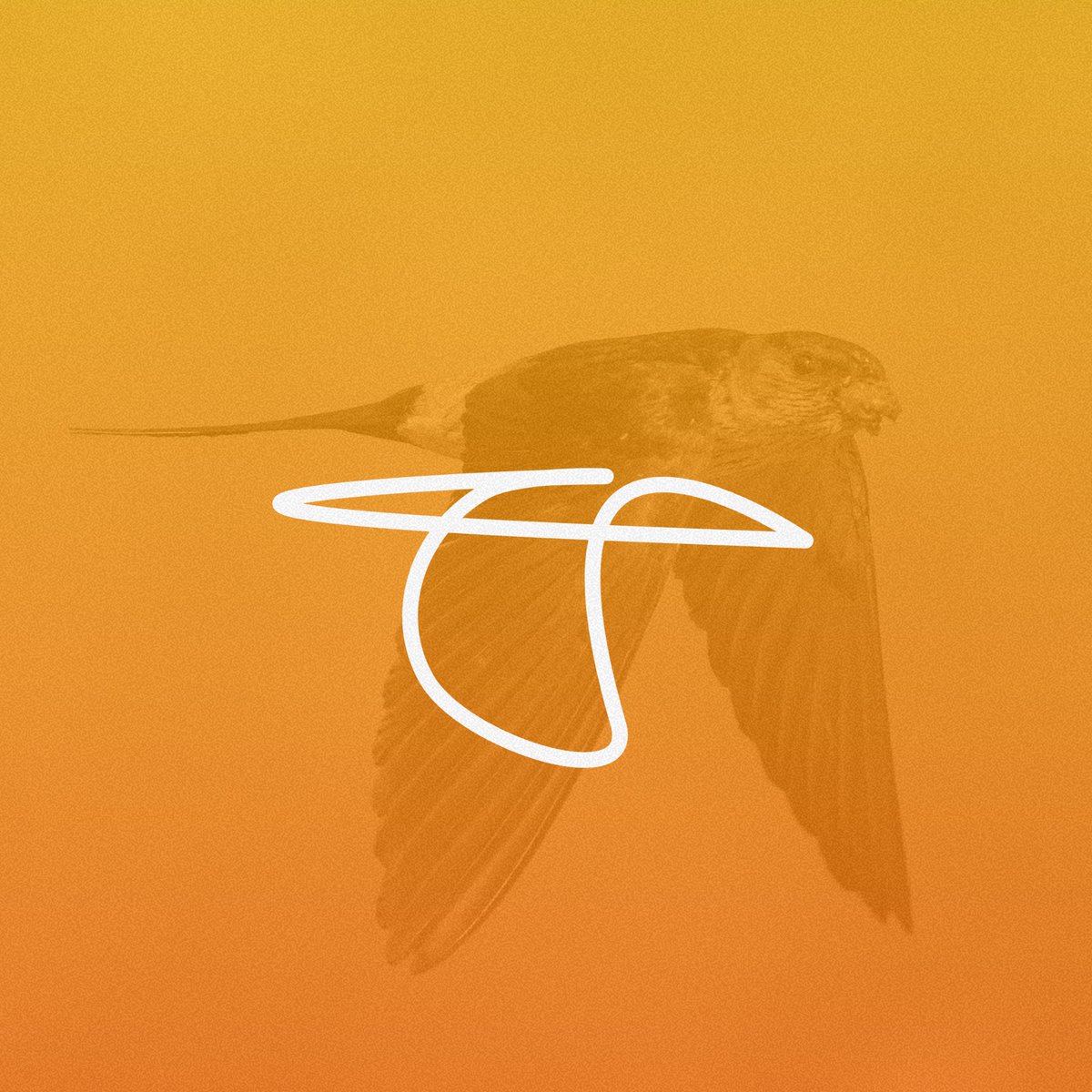 Dil_Nawax's tweet photo. Custom App Logo Design | Birdu — Minimal, Modern &amp; Scalable

#AppLogoDesign #MinimalLineArtLogo #ModernBrandIdentity #TechBrandIdentity #ProfessionalLogoDesign #ScalableLogo #AppIconDesign #LogoDesign #BrandIdentity #LineArtLogo #AppBranding #TechStartup #StartupBranding #Logo https://t.co/m0vR5gLSSh