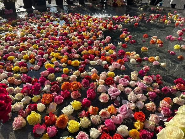 Documentaries 🌍 اسأل عن التاريخ tweet media