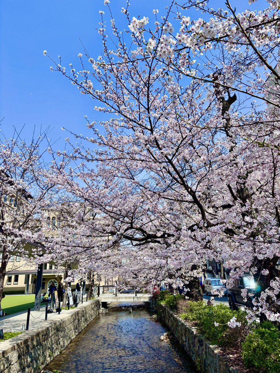 洛を旅する ≪ らくたび ≫　若村亮 tweet media