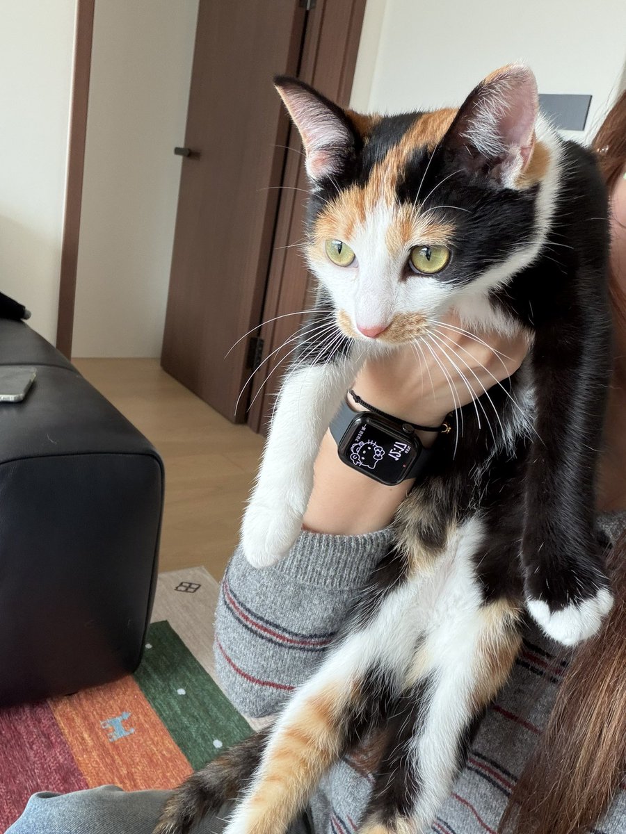 耶耶耶💯 tweet media