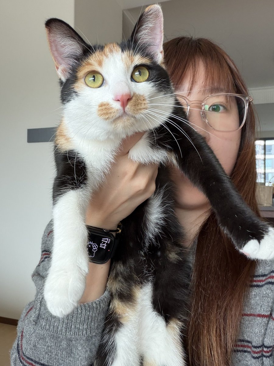 耶耶耶💯 tweet media