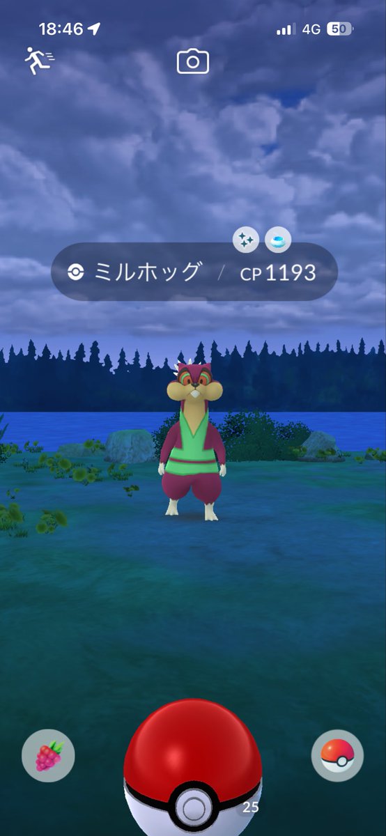 えむけーてる tweet media