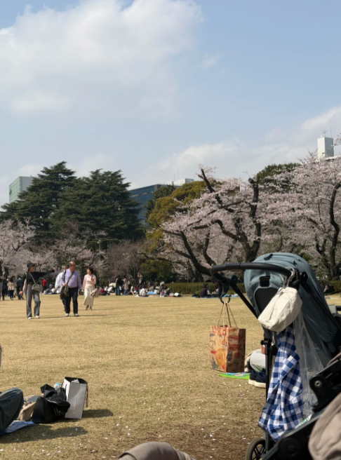 IJ_BF5's tweet photo. 桜が満開で、公園も春の陽気でいっぱいですね🌸☀️
のんびりピクニックしながら、この季節を楽しみたいです😊💖
#桜 #春の景色 #ピクニック日和 #お花見 #のんびり時間 https://t.co/9fsfwwBFOd