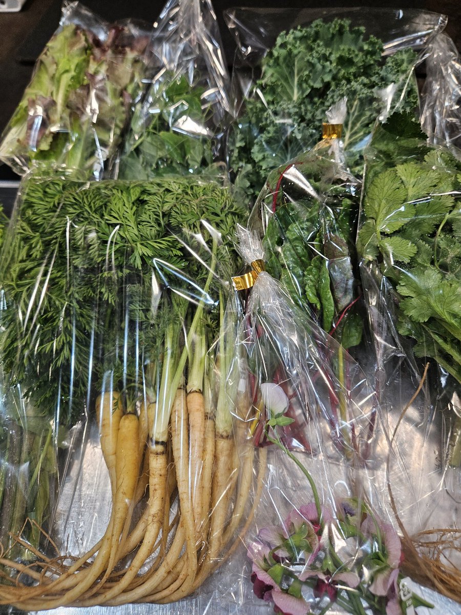 T.Kamizuki tweet media