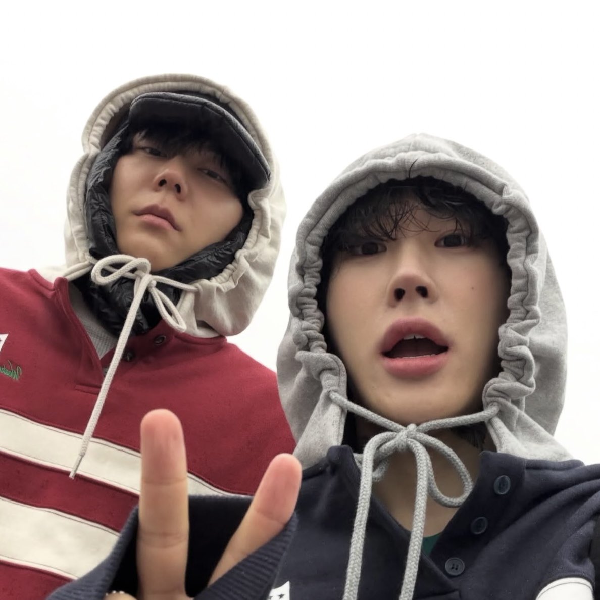 안녕하세요 tweet media