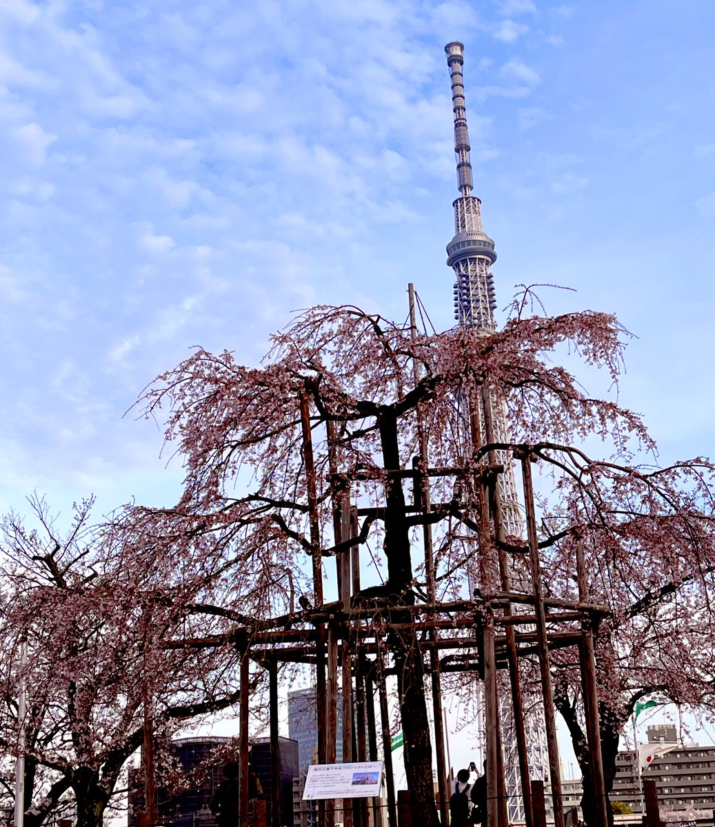 うまさんぽ展🐴 tweet media