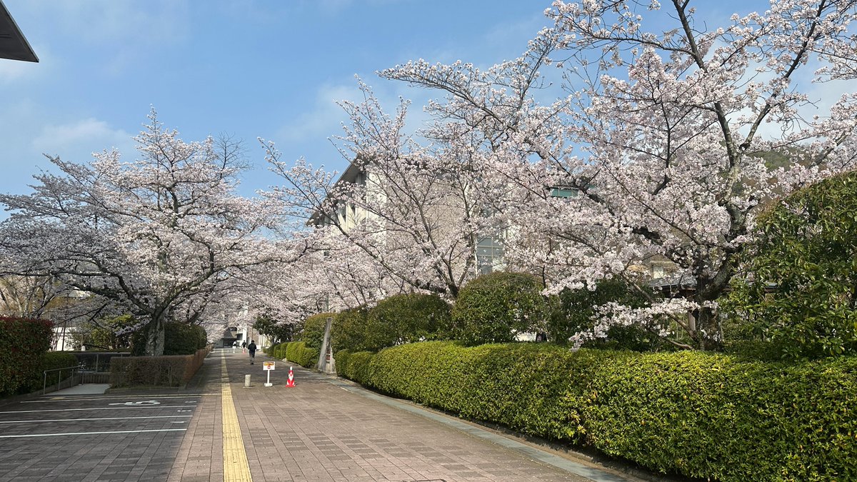 やのせん@VR/メタバース教育 tweet media