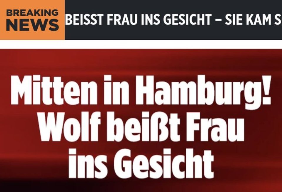 Schrödinger tweet media