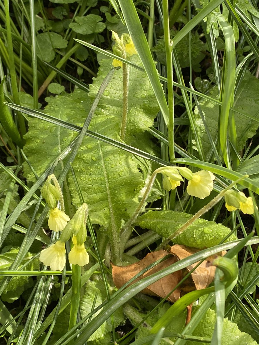 Michael Myers tweet media