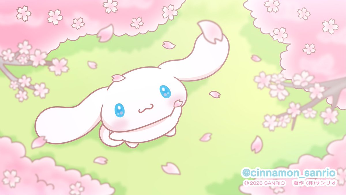 シナモン【公式】 tweet media