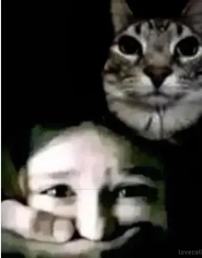 Aizy ⦿ ☰ ☲ tweet media