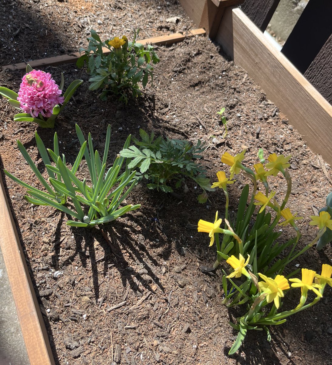 seven 🦴⛩️ tweet media