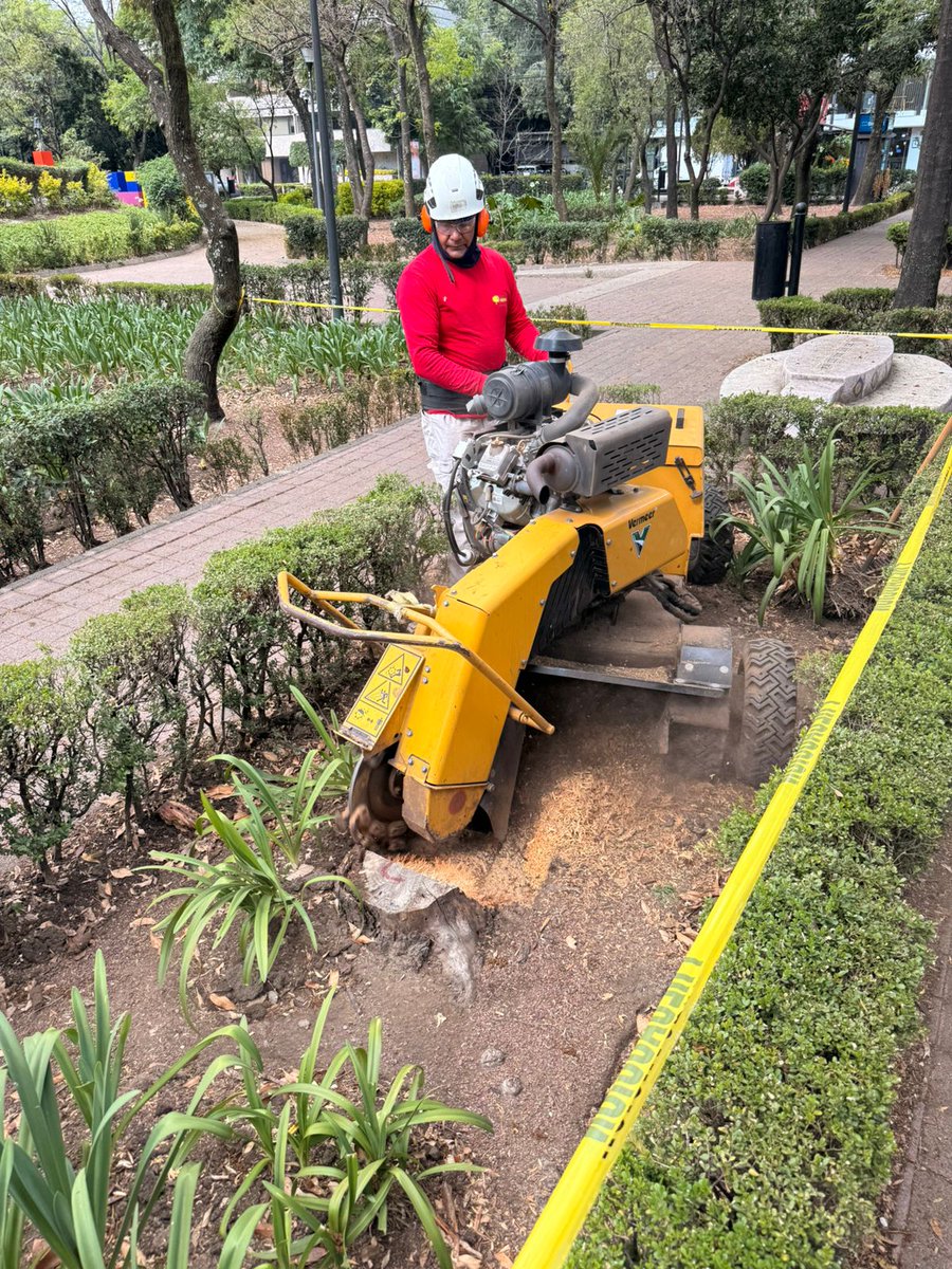 Voz de Polanco tweet media