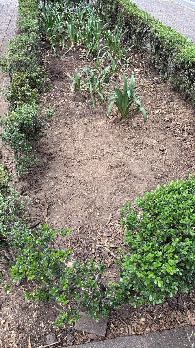 Voz de Polanco tweet media