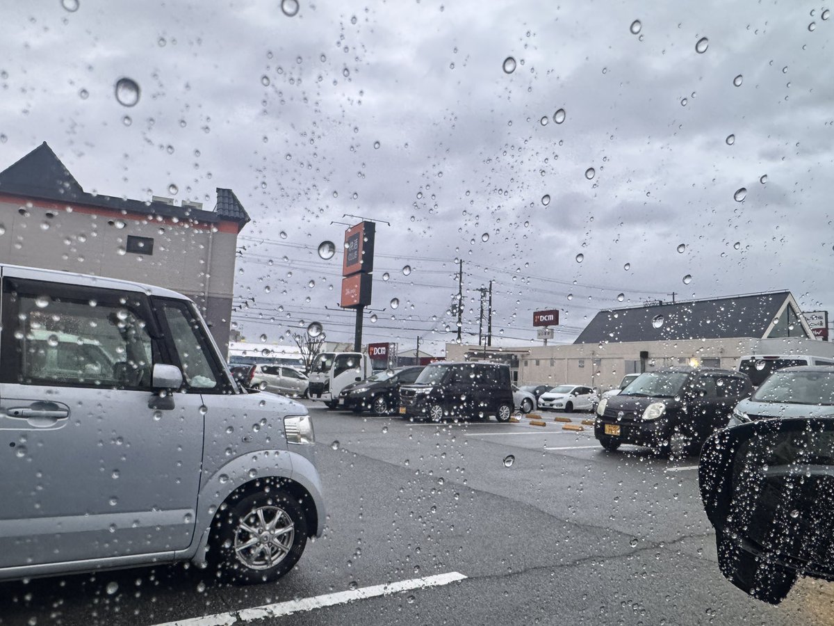 トコトコ( 'ω')❄️🌹 tweet media