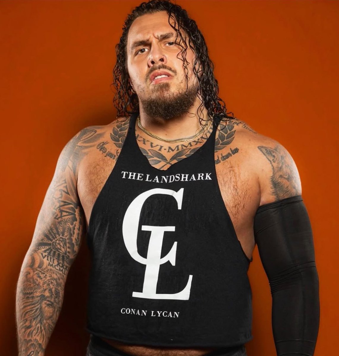 WrestlePurists tweet media